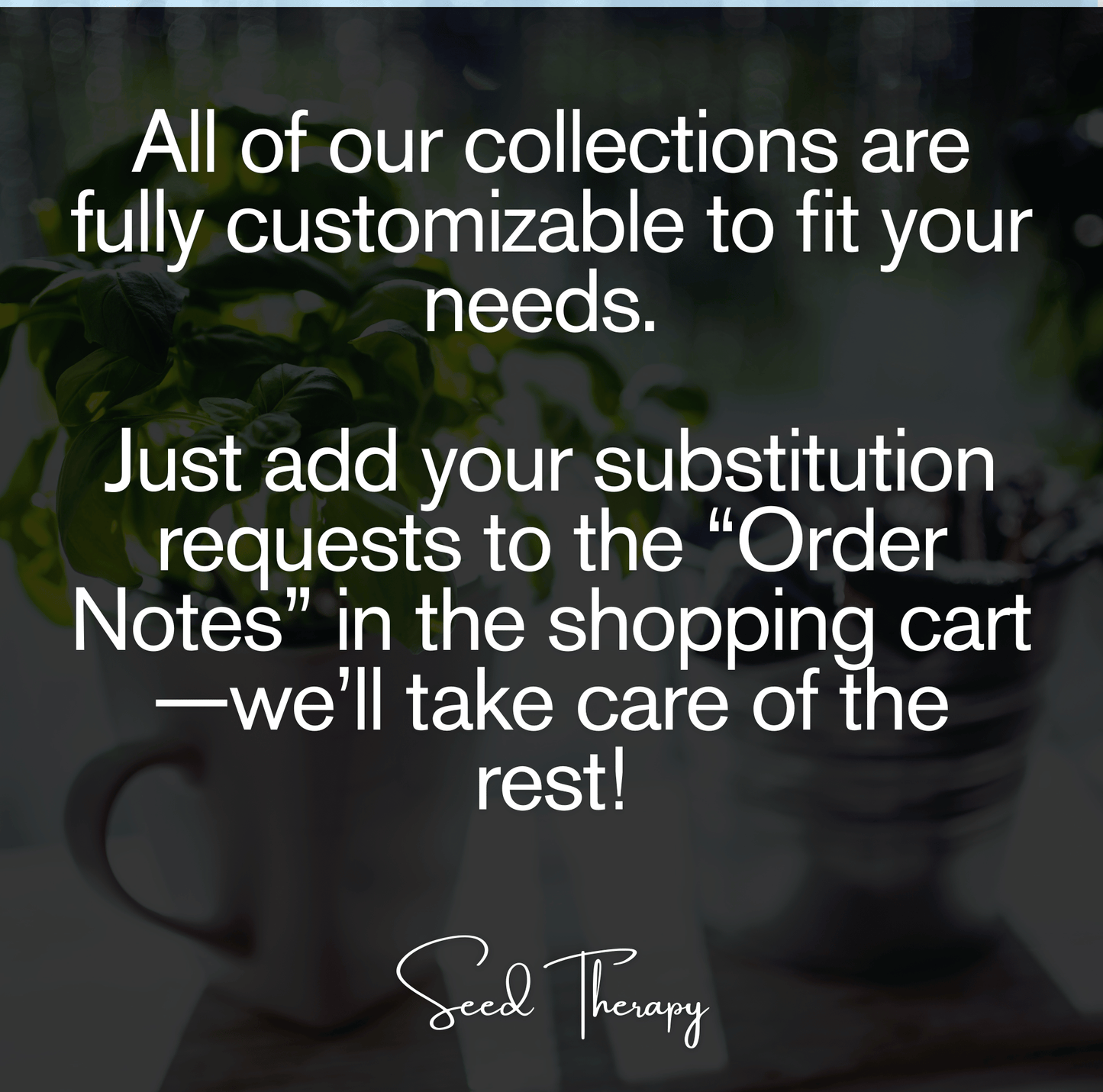 Herbal Tea Seed Collection – 6 Varieties
