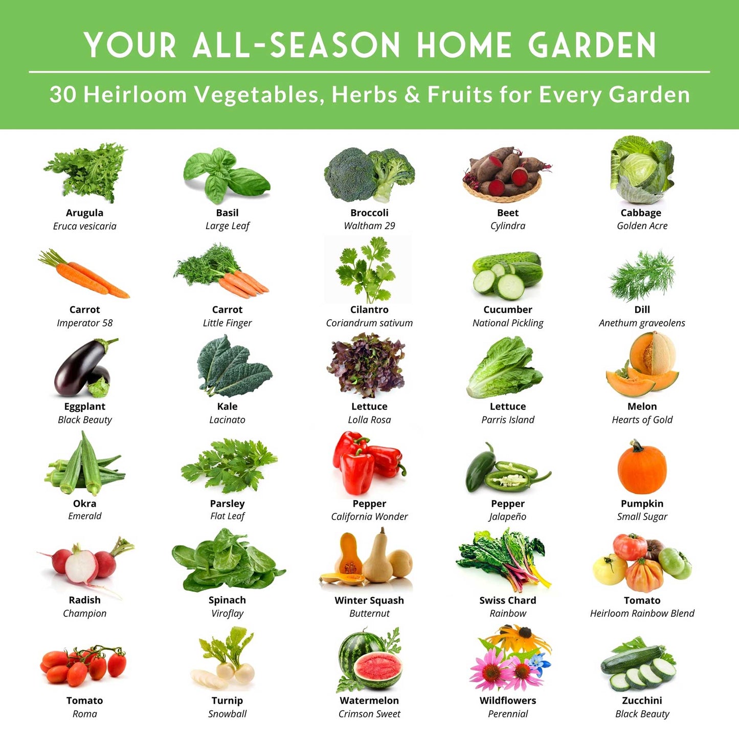Family Home Garden Kit - 30 Easy to Grow Seeds for a Victory Garden