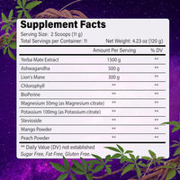 Yerba Mate Instant Tea Powder | Superfood Energy & Focus Blend