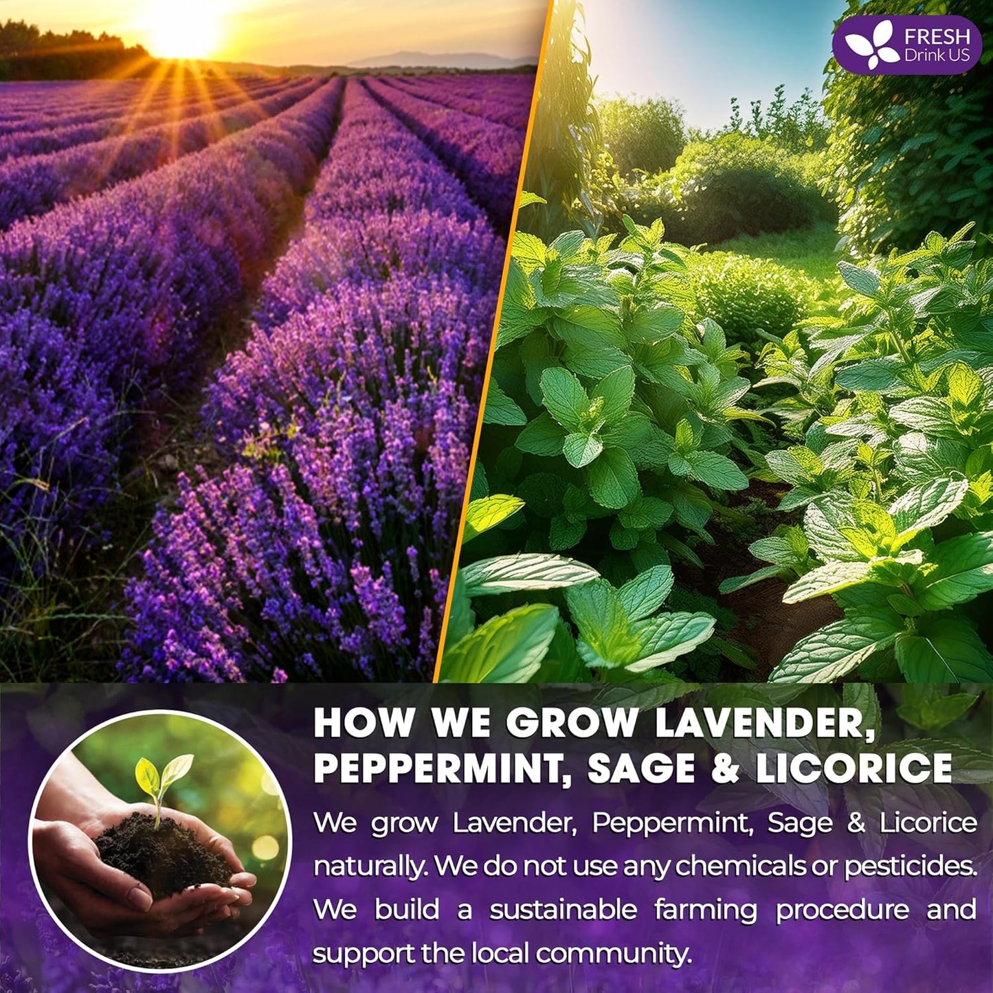 Premium Lavender Mint Tea Bags. 100% Natural, Blend of Lavender, Peppermint, Sage and Licorice