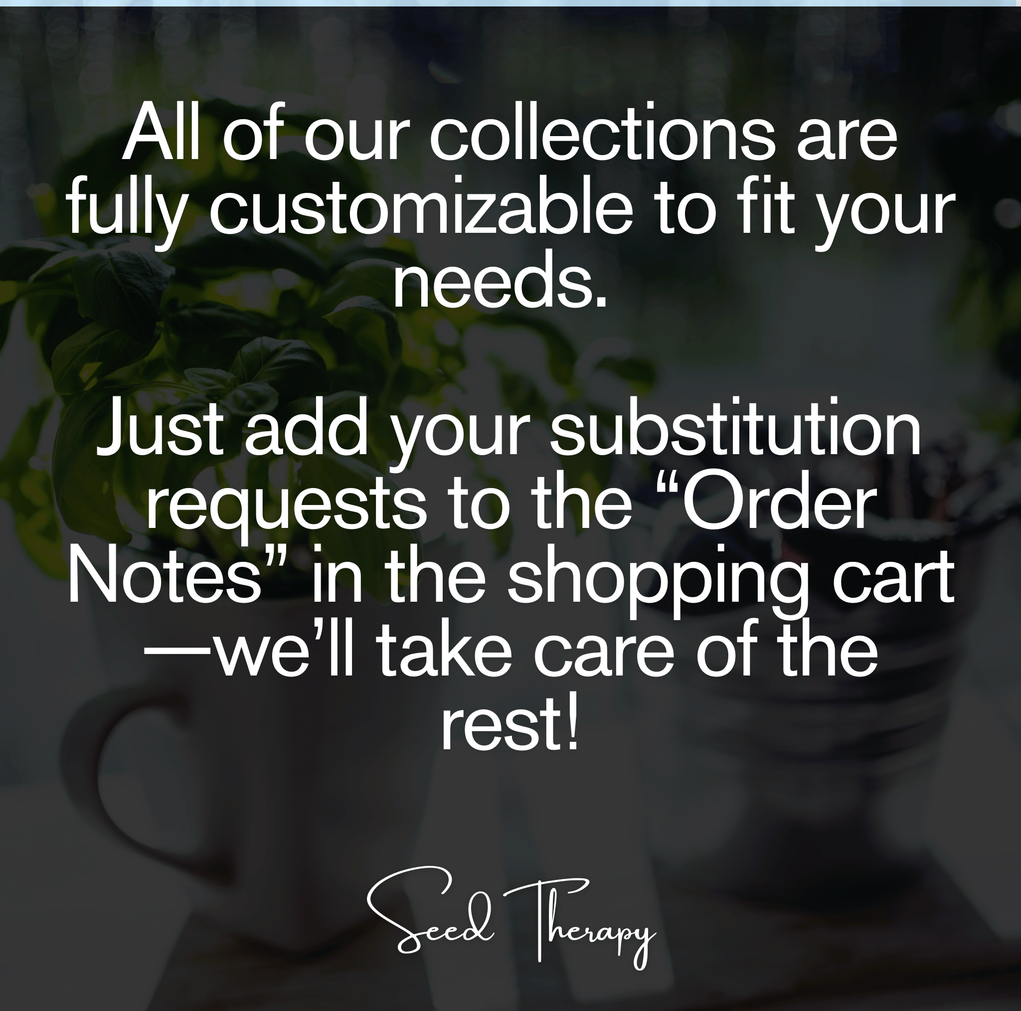 Herbal Tea Seed Collection – 6 Varieties