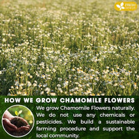 Sleepy-Time Immune & Heart Trio, Chamomile, Soursop & Hibiscus Herbal Tea Bags, 100% Natural and Pure Flowers & Leaves