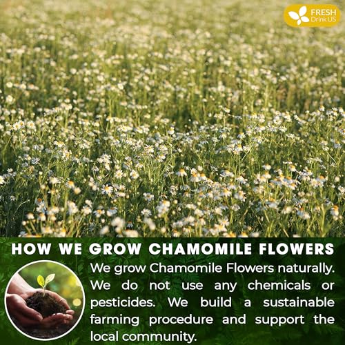 Sleepy-Time Immune & Heart Trio, Chamomile, Soursop & Hibiscus Herbal Tea Bags, 100% Natural and Pure Flowers & Leaves
