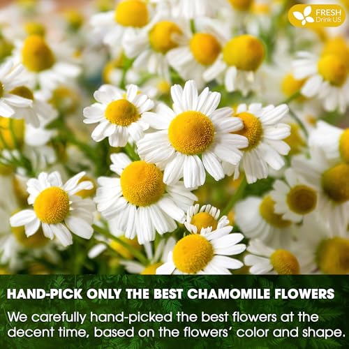 Sleepy-Time Immune & Heart Trio, Chamomile, Soursop & Hibiscus Herbal Tea Bags, 100% Natural and Pure Flowers & Leaves