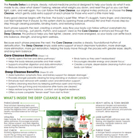 Deep Cleanse Wellness Kit - To Clear Parasites, Bind Toxins, and Improve Digestion