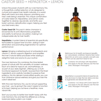 Liver Harmony Liver Detox Trio