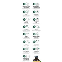 Herbal Tonics & Bitters - 7 Varieties