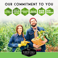 Family Home Garden Kit - 30 Easy to Grow Seeds for a Victory Garden