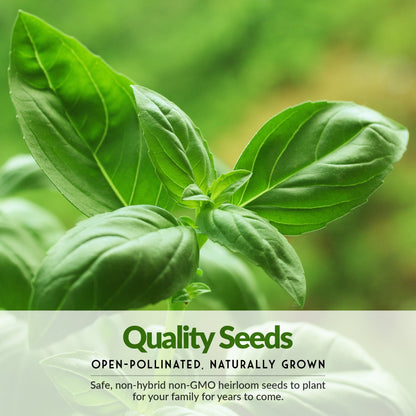 20 Variety Vegetable Garden Starter Seed Collection – Non-GMO Heirloom Kit for Beginner-Friendly Home Growing