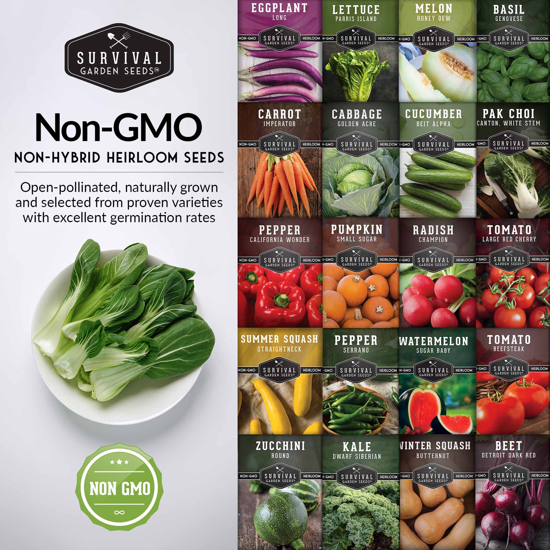 20 Variety Vegetable Garden Starter Seed Collection – Non-GMO Heirloom Kit for Beginner-Friendly Home Growing