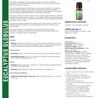 Eucalyptus Globulus Essential Oil