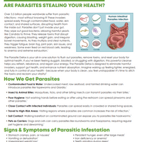 Parasite Detox Kit