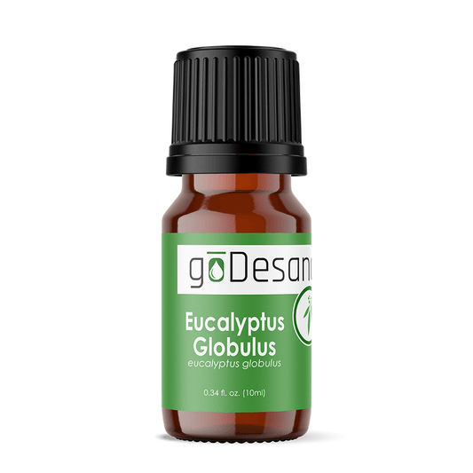 Eucalyptus Globulus Essential Oil