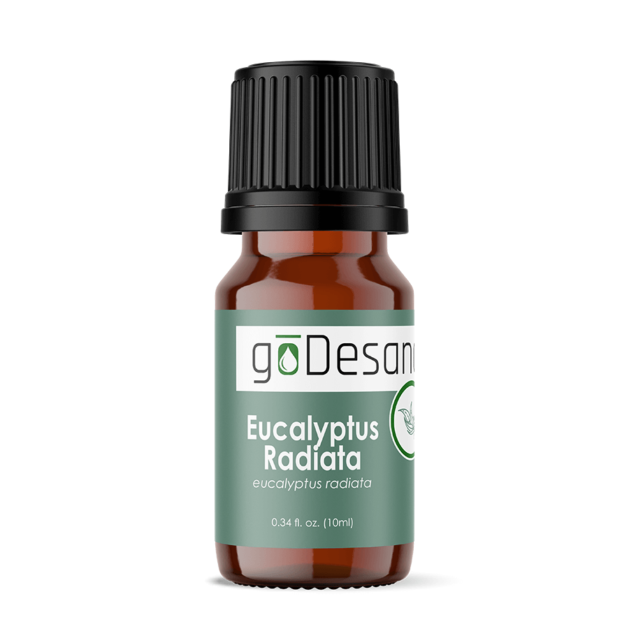 Eucalyptus Radiata Essential Oil
